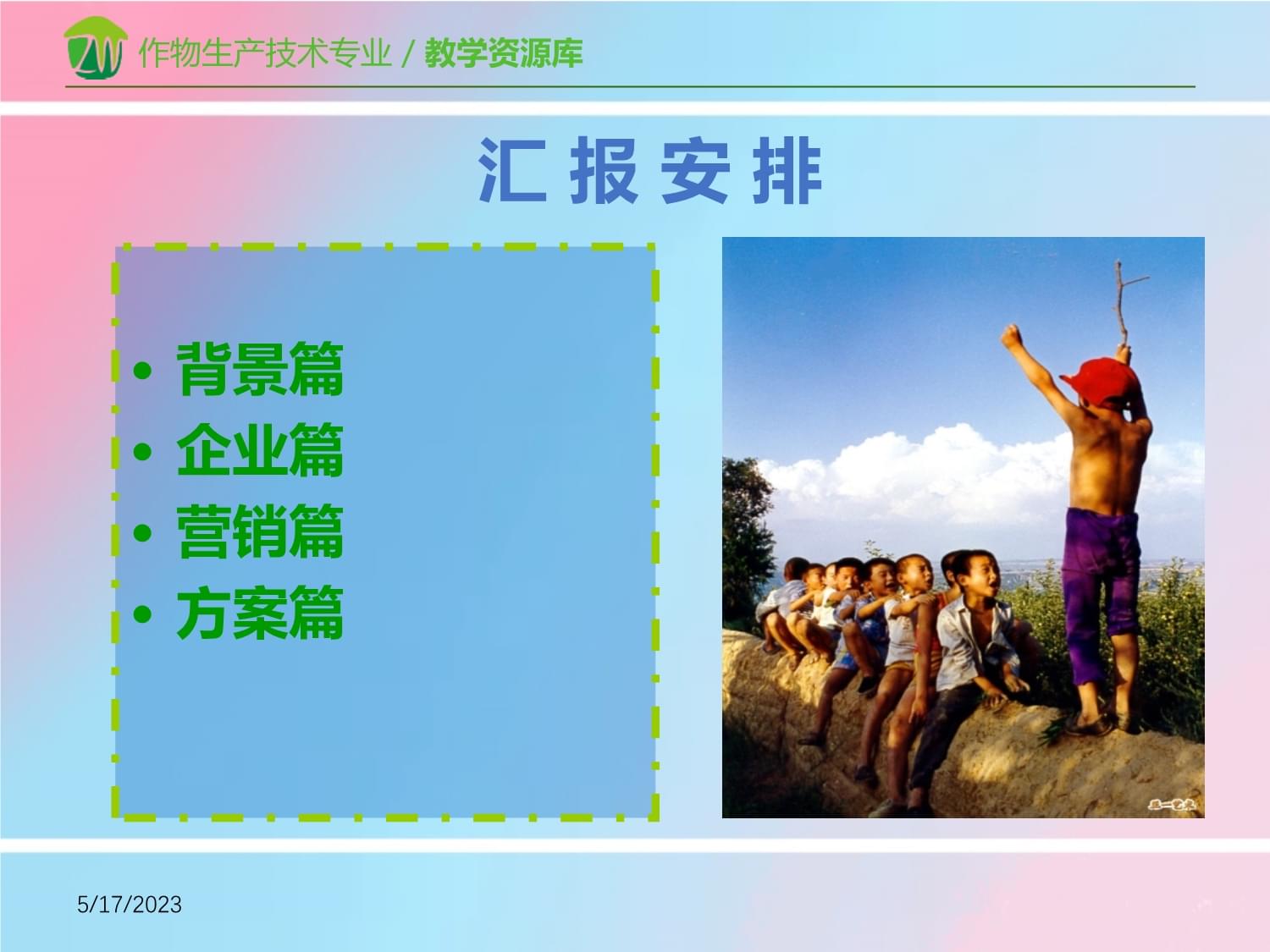 绿野仙踪——XX有机农产品公司年度市场营销策划案